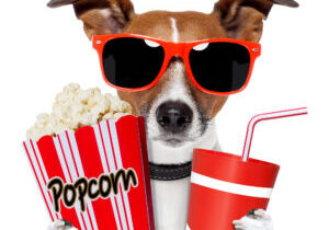 Dog watching a movie with popcorn and coke
